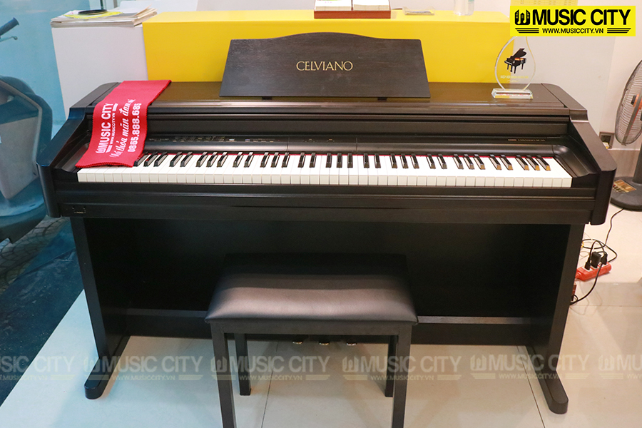 Music City – Tổng Kho Piano, Guitar, Organ | Dịch Vụ Giáo Dục Âm Nhạc