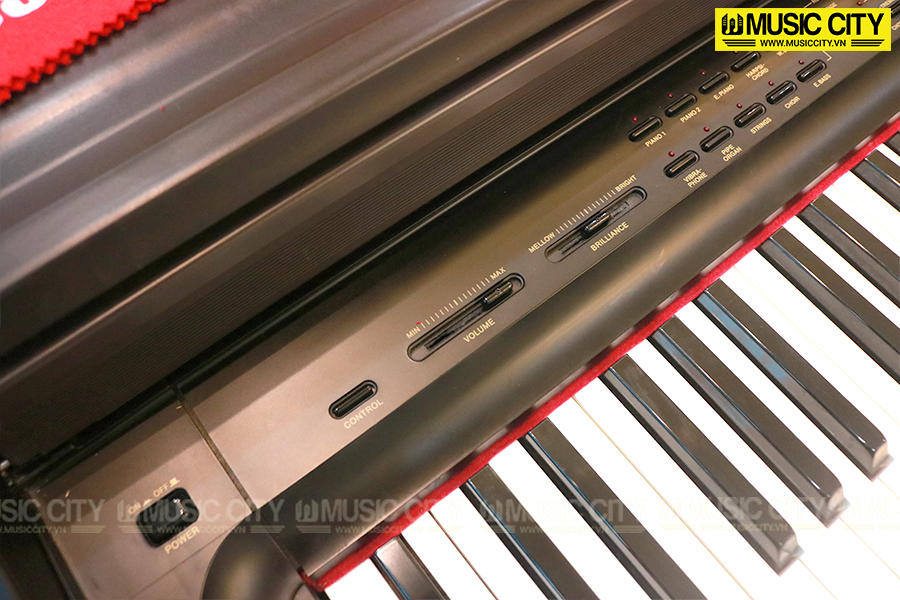 Music City – Tổng Kho Piano, Guitar, Organ | Dịch Vụ Giáo Dục Âm Nhạc