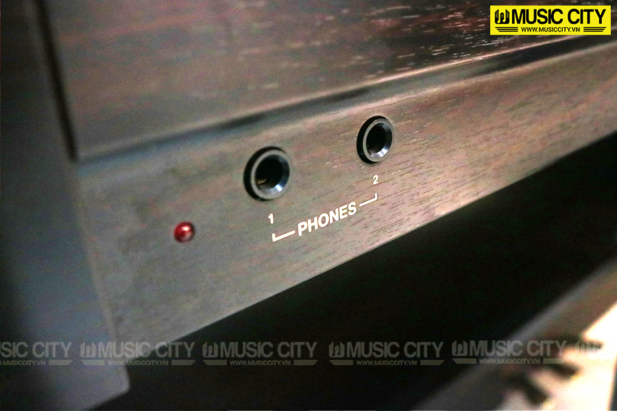 Music City – Tổng Kho Piano, Guitar, Organ | Dịch Vụ Giáo Dục Âm Nhạc