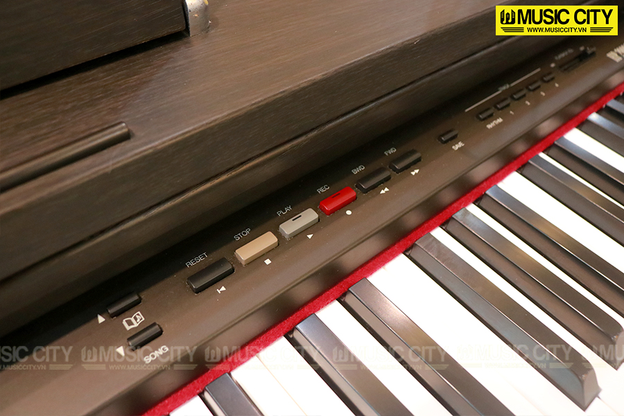 Music City – Tổng Kho Piano, Guitar, Organ | Dịch Vụ Giáo Dục Âm Nhạc