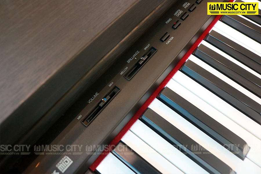Music City – Tổng Kho Piano, Guitar, Organ | Dịch Vụ Giáo Dục Âm Nhạc