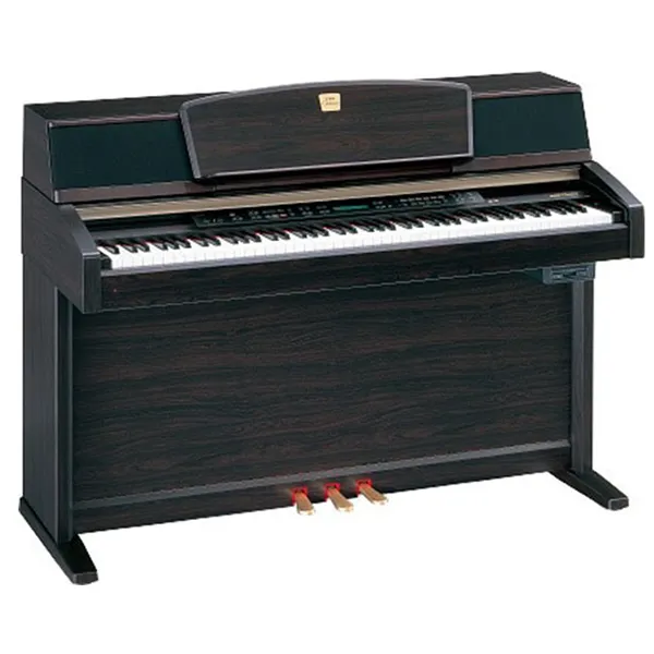 Music City – Tổng Kho Piano, Guitar, Organ | Dịch Vụ Giáo Dục Âm Nhạc