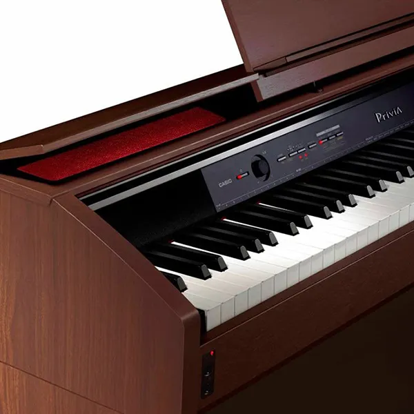 Music City – Tổng Kho Piano, Guitar, Organ | Dịch Vụ Giáo Dục Âm Nhạc