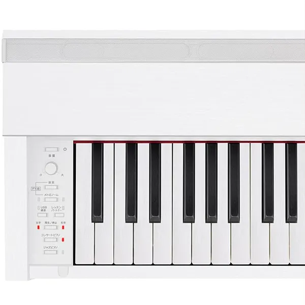Music City – Tổng Kho Piano, Guitar, Organ | Dịch Vụ Giáo Dục Âm Nhạc