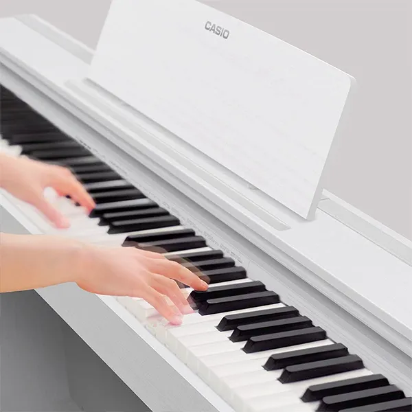 Music City – Tổng Kho Piano, Guitar, Organ | Dịch Vụ Giáo Dục Âm Nhạc