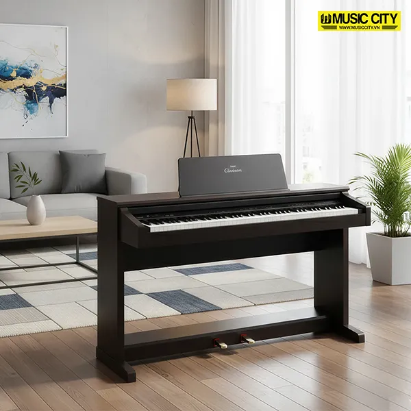 Music City – Tổng Kho Piano, Guitar, Organ | Dịch Vụ Giáo Dục Âm Nhạc