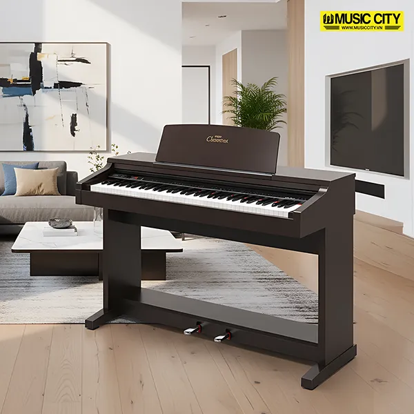 Music City – Tổng Kho Piano, Guitar, Organ | Dịch Vụ Giáo Dục Âm Nhạc