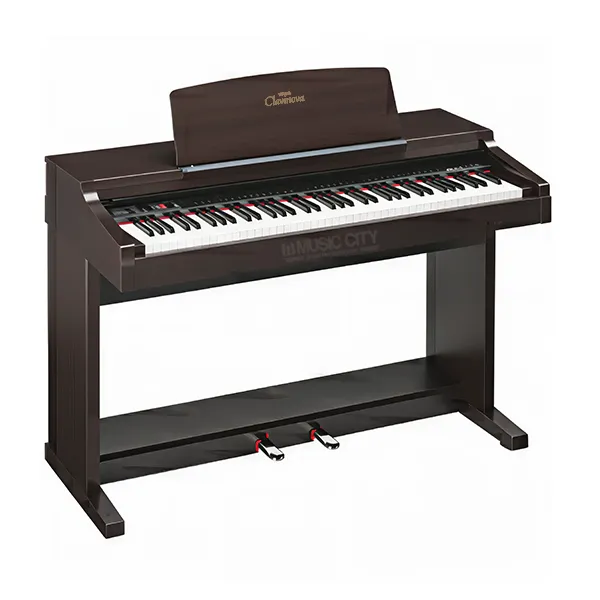 Music City – Tổng Kho Piano, Guitar, Organ | Dịch Vụ Giáo Dục Âm Nhạc