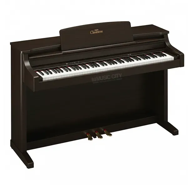 Music City – Tổng Kho Piano, Guitar, Organ | Dịch Vụ Giáo Dục Âm Nhạc