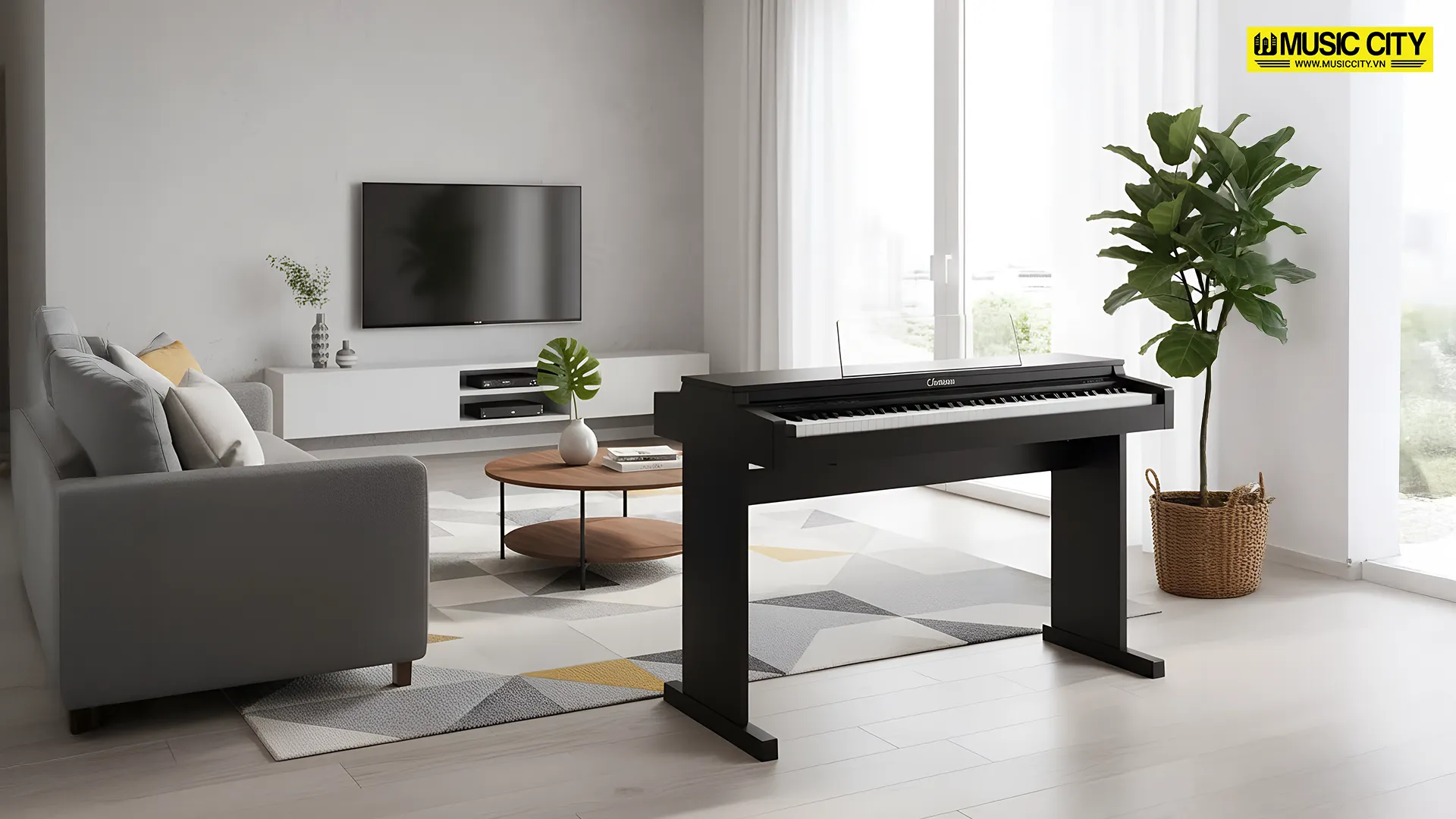 Music City – Tổng Kho Piano, Guitar, Organ | Dịch Vụ Giáo Dục Âm Nhạc