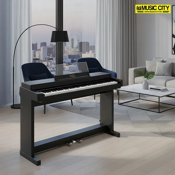 Music City – Tổng Kho Piano, Guitar, Organ | Dịch Vụ Giáo Dục Âm Nhạc