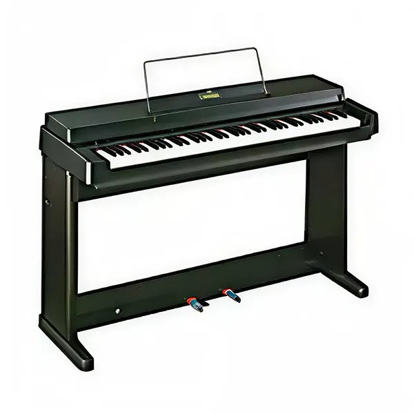 Music City – Tổng Kho Piano, Guitar, Organ | Dịch Vụ Giáo Dục Âm Nhạc