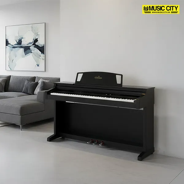 Music City – Tổng Kho Piano, Guitar, Organ | Dịch Vụ Giáo Dục Âm Nhạc