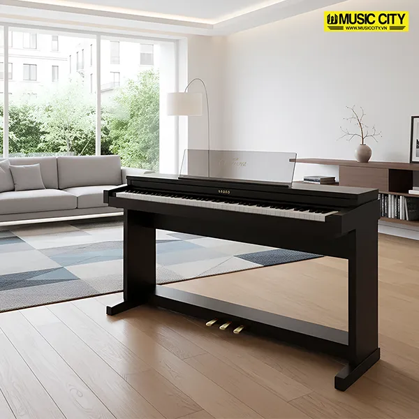 Music City – Tổng Kho Piano, Guitar, Organ | Dịch Vụ Giáo Dục Âm Nhạc