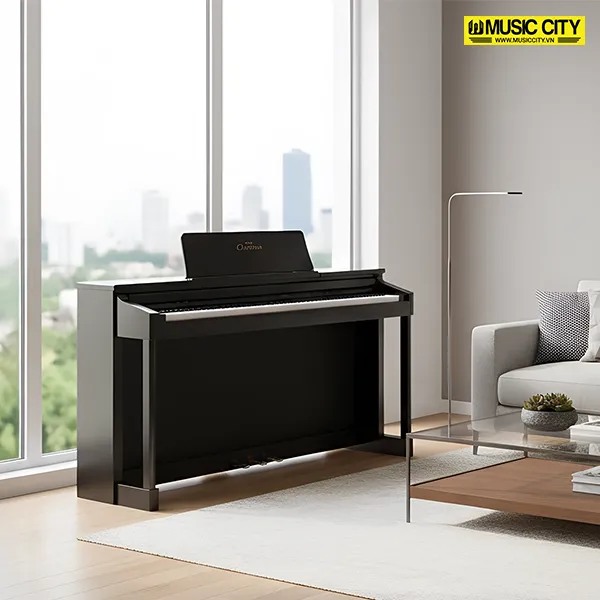Music City – Tổng Kho Piano, Guitar, Organ | Dịch Vụ Giáo Dục Âm Nhạc