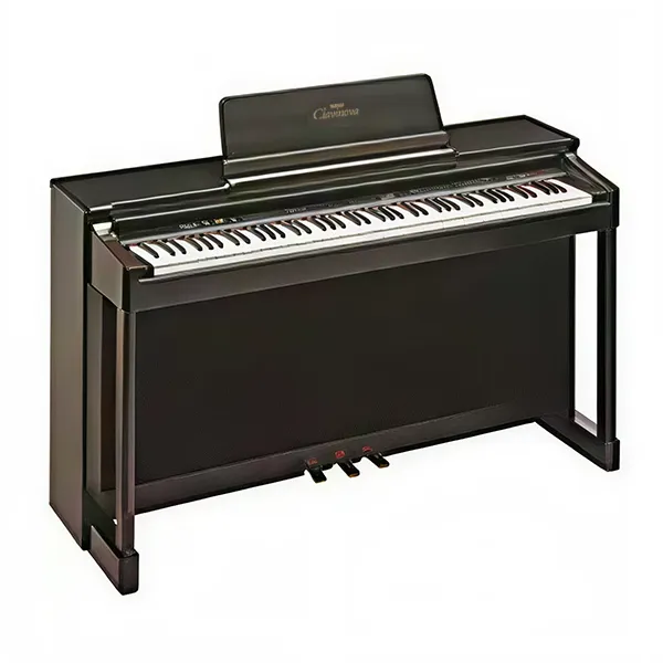Music City – Tổng Kho Piano, Guitar, Organ | Dịch Vụ Giáo Dục Âm Nhạc