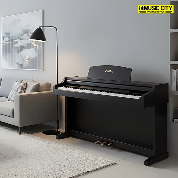 Music City – Tổng Kho Piano, Guitar, Organ | Dịch Vụ Giáo Dục Âm Nhạc