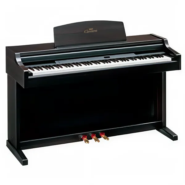 Music City – Tổng Kho Piano, Guitar, Organ | Dịch Vụ Giáo Dục Âm Nhạc