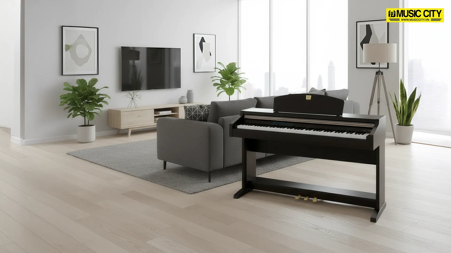 Music City – Tổng Kho Piano, Guitar, Organ | Dịch Vụ Giáo Dục Âm Nhạc