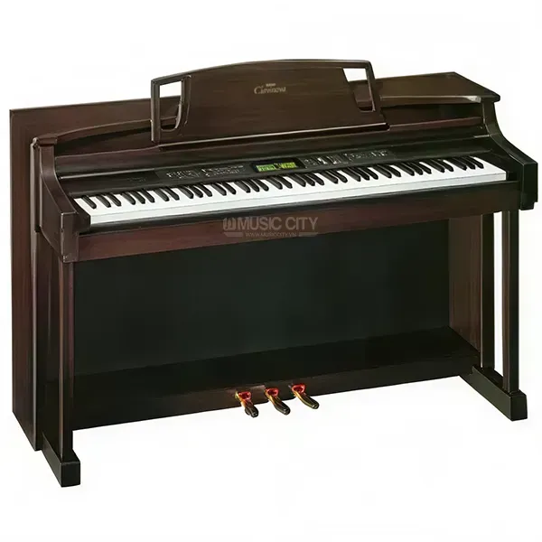 Music City – Tổng Kho Piano, Guitar, Organ | Dịch Vụ Giáo Dục Âm Nhạc