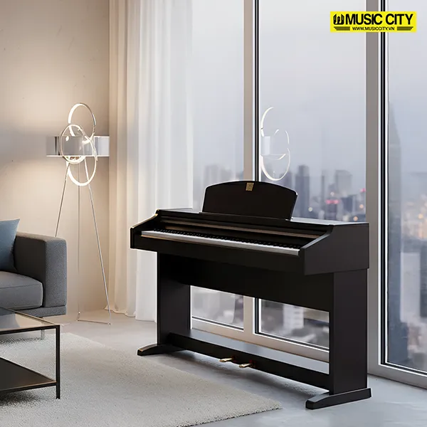 Music City – Tổng Kho Piano, Guitar, Organ | Dịch Vụ Giáo Dục Âm Nhạc