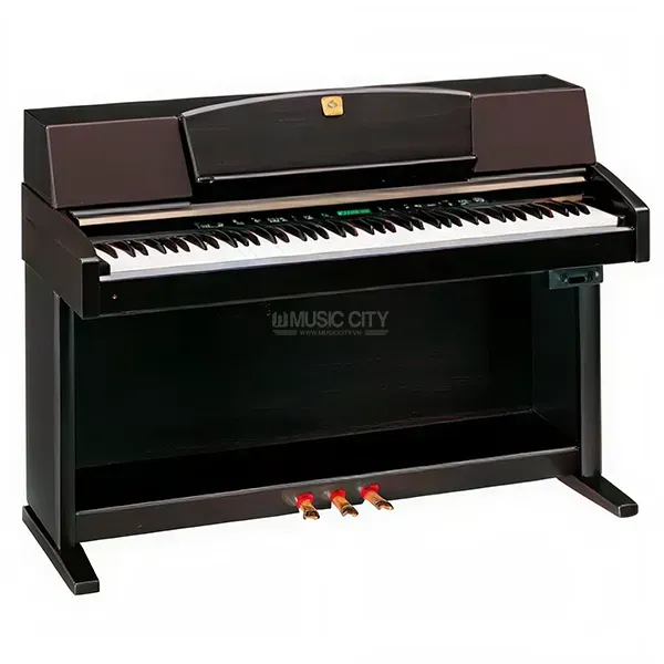 Music City – Tổng Kho Piano, Guitar, Organ | Dịch Vụ Giáo Dục Âm Nhạc
