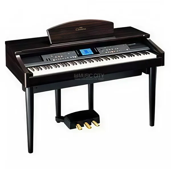 Music City – Tổng Kho Piano, Guitar, Organ | Dịch Vụ Giáo Dục Âm Nhạc