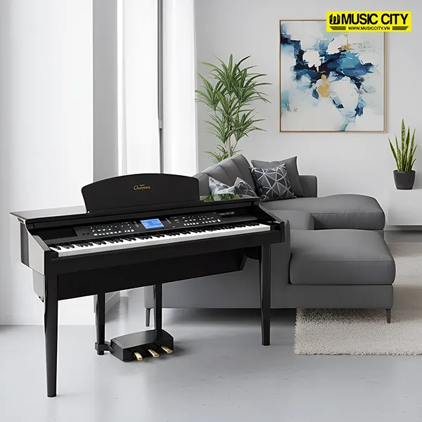 Music City – Tổng Kho Piano, Guitar, Organ | Dịch Vụ Giáo Dục Âm Nhạc
