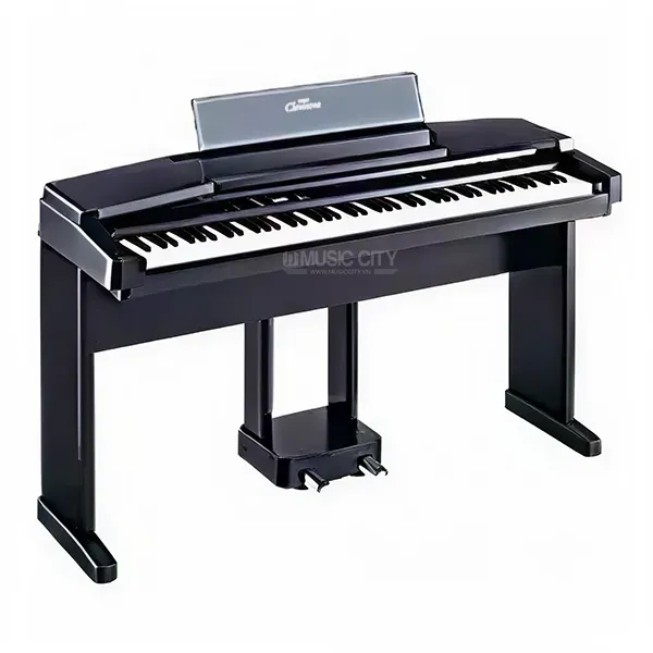 Music City – Tổng Kho Piano, Guitar, Organ | Dịch Vụ Giáo Dục Âm Nhạc