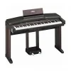 dan-piano-yamaha-cvp49-musiccity