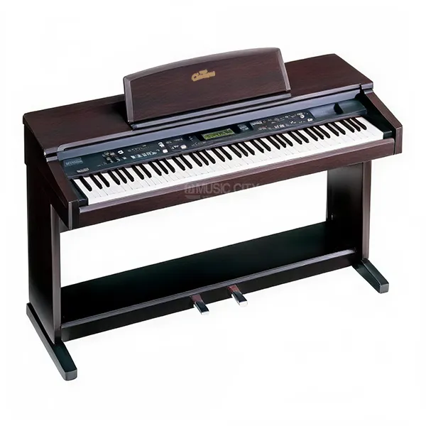 Music City – Tổng Kho Piano, Guitar, Organ | Dịch Vụ Giáo Dục Âm Nhạc