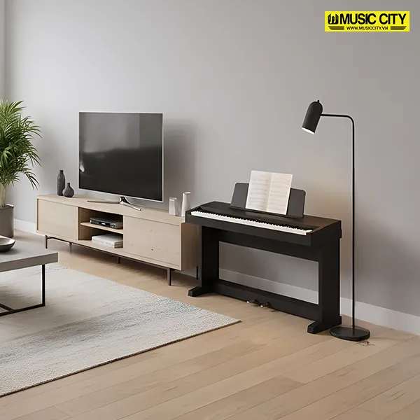 Music City – Tổng Kho Piano, Guitar, Organ | Dịch Vụ Giáo Dục Âm Nhạc