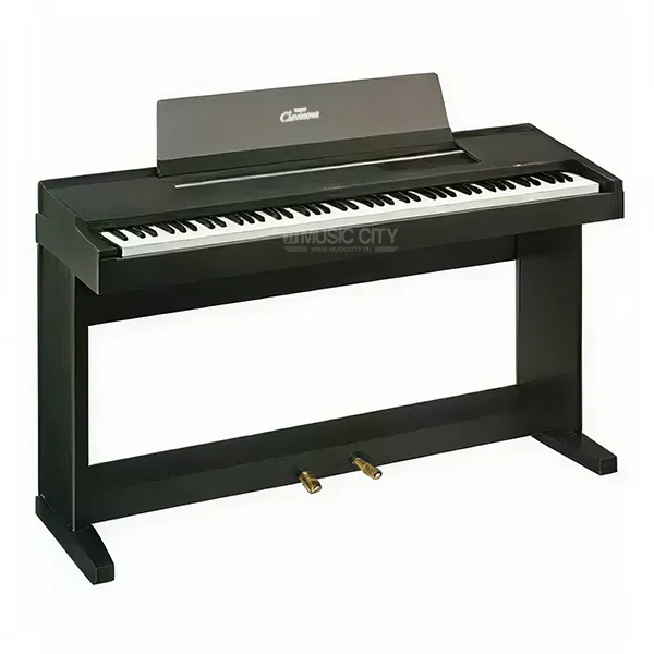 dan-piano-yamaha-cvp6-musiccity