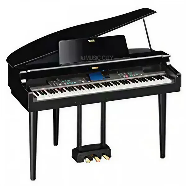 Music City – Tổng Kho Piano, Guitar, Organ | Dịch Vụ Giáo Dục Âm Nhạc