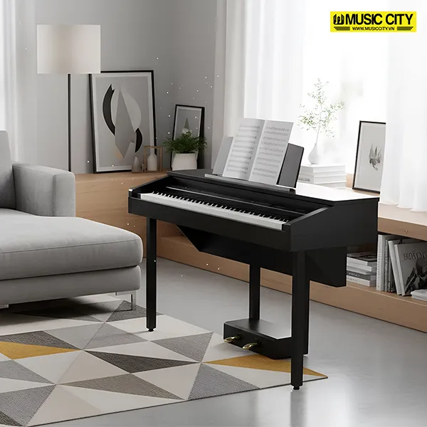 Music City – Tổng Kho Piano, Guitar, Organ | Dịch Vụ Giáo Dục Âm Nhạc