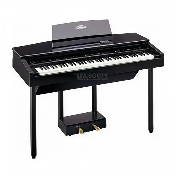 Music City – Tổng Kho Piano, Guitar, Organ | Dịch Vụ Giáo Dục Âm Nhạc