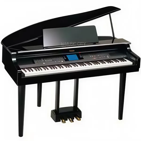 Music City – Tổng Kho Piano, Guitar, Organ | Dịch Vụ Giáo Dục Âm Nhạc
