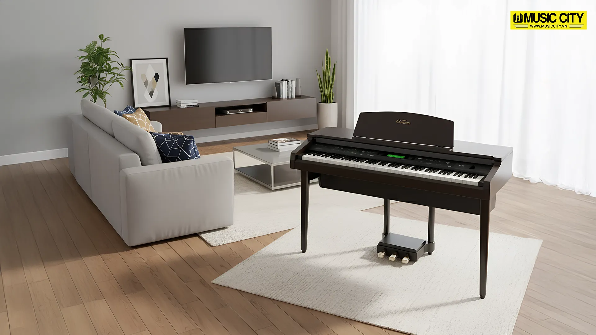 Music City – Tổng Kho Piano, Guitar, Organ | Dịch Vụ Giáo Dục Âm Nhạc