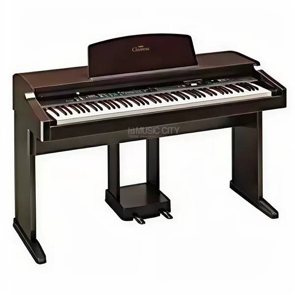 Music City – Tổng Kho Piano, Guitar, Organ | Dịch Vụ Giáo Dục Âm Nhạc