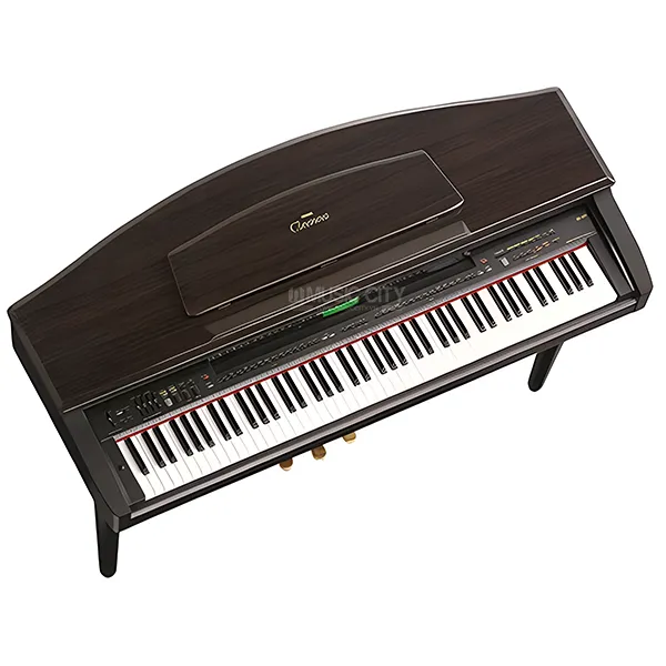 Music City – Tổng Kho Piano, Guitar, Organ | Dịch Vụ Giáo Dục Âm Nhạc