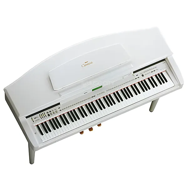 Music City – Tổng Kho Piano, Guitar, Organ | Dịch Vụ Giáo Dục Âm Nhạc