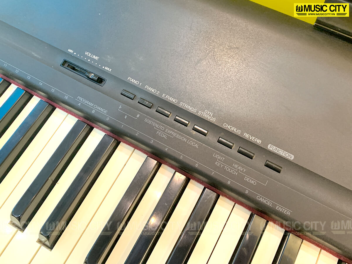 Music City – Tổng Kho Piano, Guitar, Organ | Dịch Vụ Giáo Dục Âm Nhạc