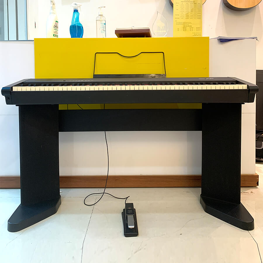 Music City – Tổng Kho Piano, Guitar, Organ | Dịch Vụ Giáo Dục Âm Nhạc