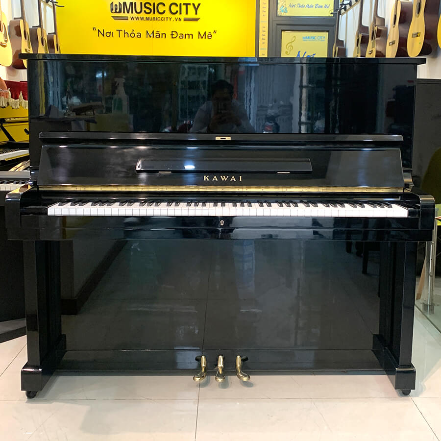 Music City – Tổng Kho Piano, Guitar, Organ | Dịch Vụ Giáo Dục Âm Nhạc