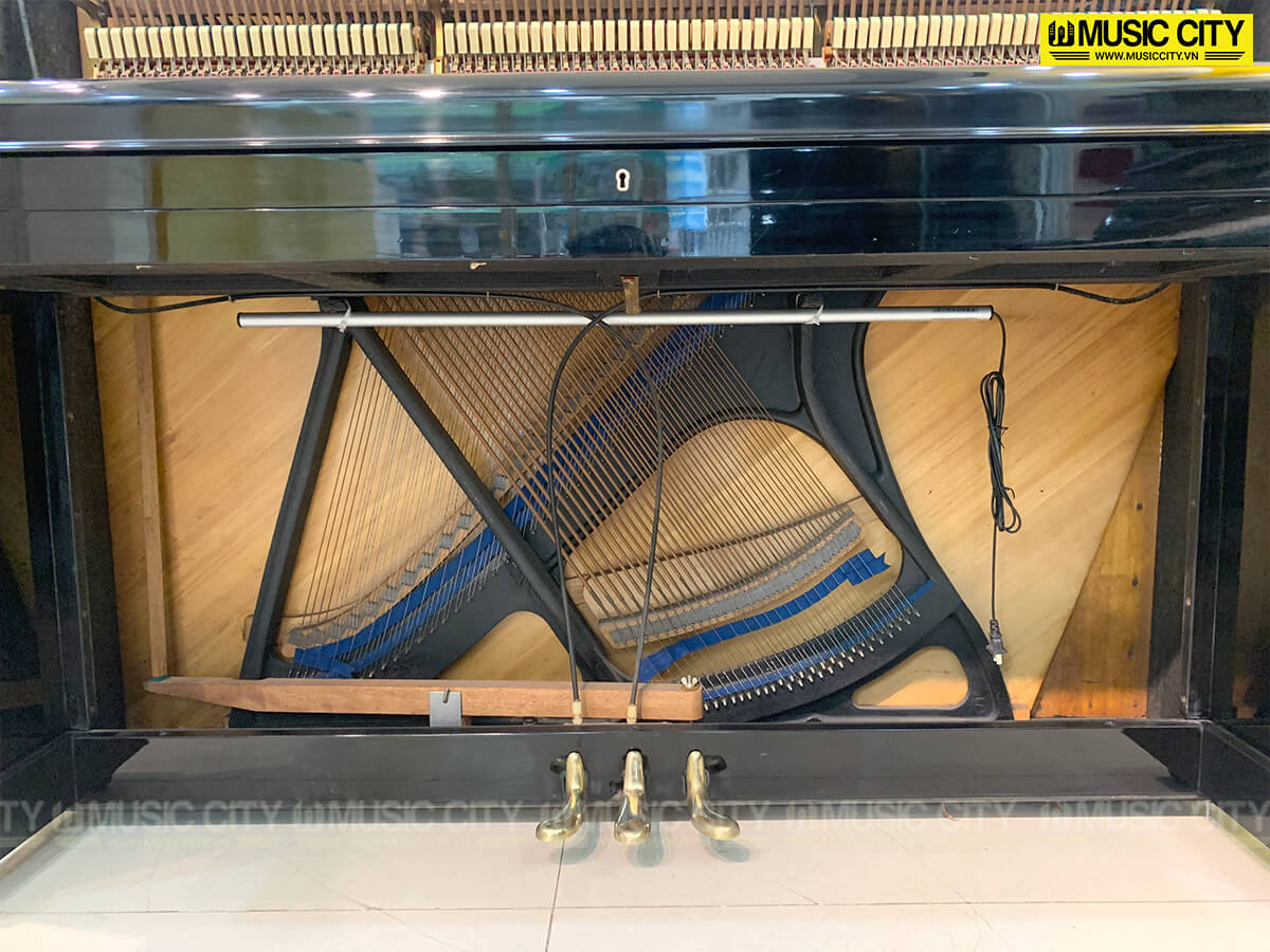 Music City – Tổng Kho Piano, Guitar, Organ | Dịch Vụ Giáo Dục Âm Nhạc