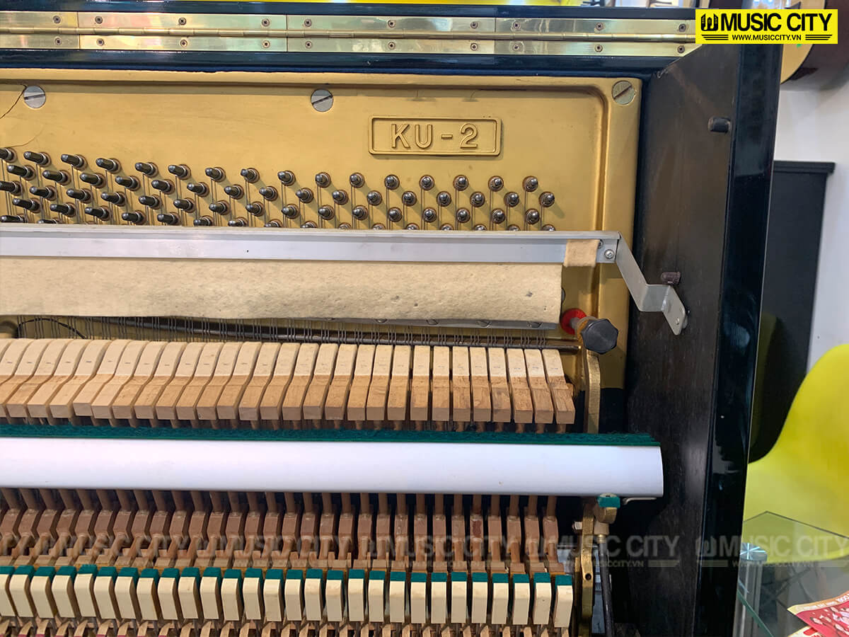 Music City – Tổng Kho Piano, Guitar, Organ | Dịch Vụ Giáo Dục Âm Nhạc