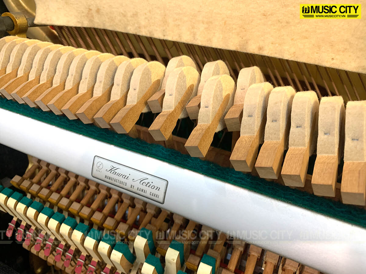 Music City – Tổng Kho Piano, Guitar, Organ | Dịch Vụ Giáo Dục Âm Nhạc