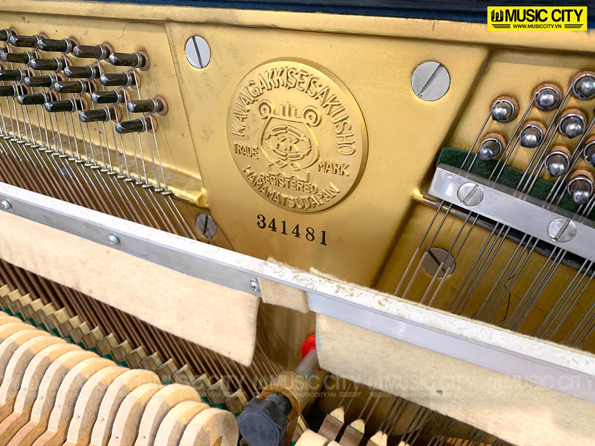 Music City – Tổng Kho Piano, Guitar, Organ | Dịch Vụ Giáo Dục Âm Nhạc