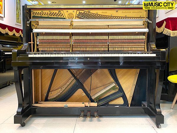 Music City – Tổng Kho Piano, Guitar, Organ | Dịch Vụ Giáo Dục Âm Nhạc