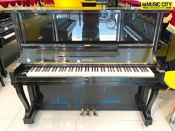 Music City – Tổng Kho Piano, Guitar, Organ | Dịch Vụ Giáo Dục Âm Nhạc